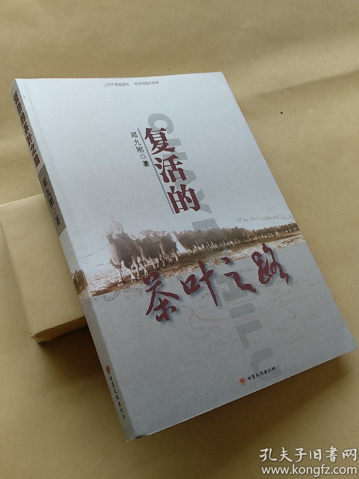 圣埃蒂安告捷,走上复苏之路的简单介绍 圣埃蒂安告捷,走上复苏之路的简单介绍